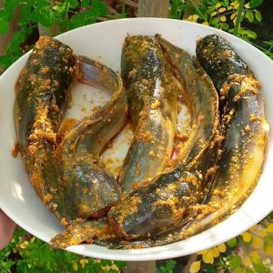 Lele Marinasi Siap Goreng