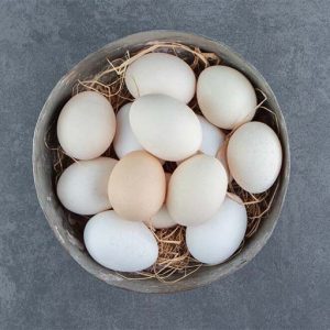 Telor Ayam Kampung